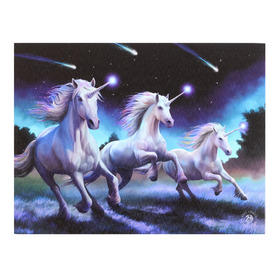 ##25x19cm Anne Stokes Shooting Stars MDF Mounted Canvas