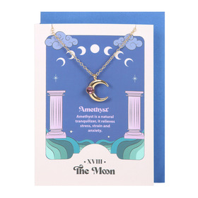##The Moon Celestial Amethyst Stainless Steel Necklace Card