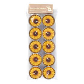##Set of 10 Sunflower Unscented Candles