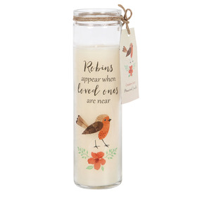 ##Robins Appear Candle in Glass Tube